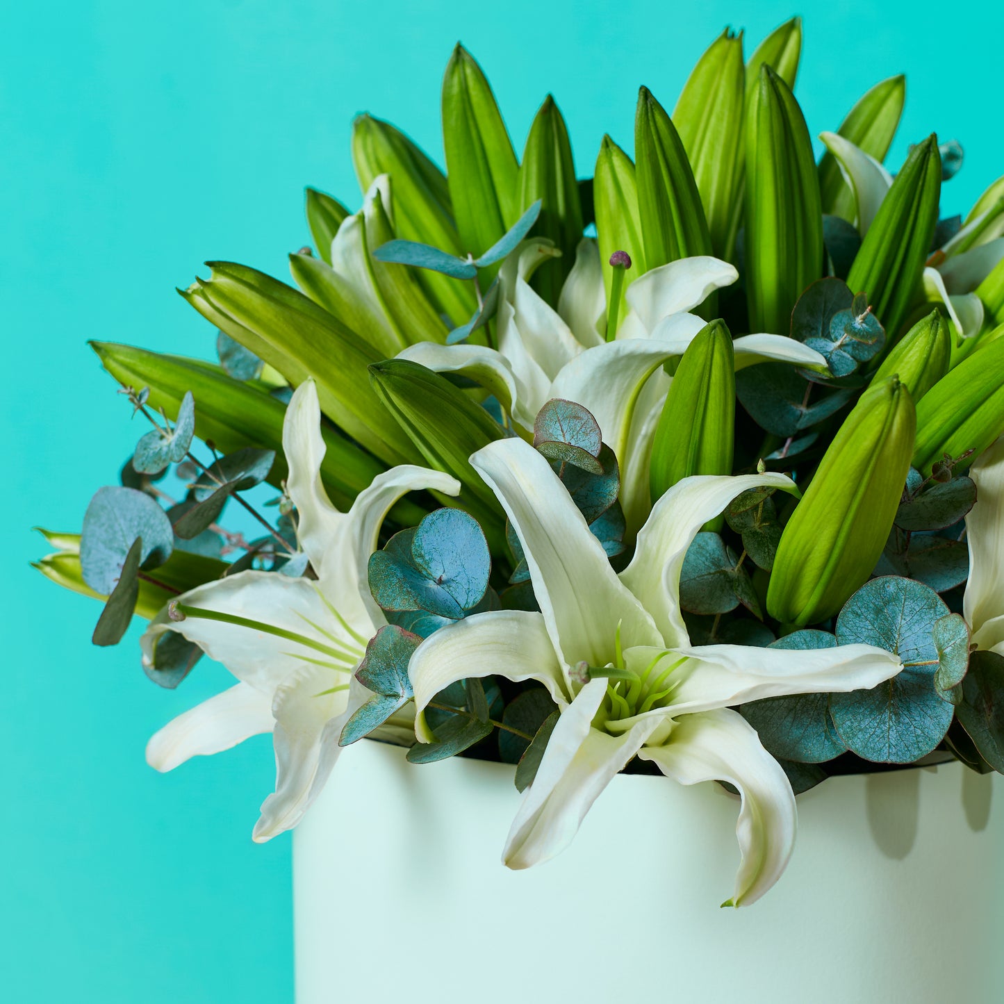 White Lilies