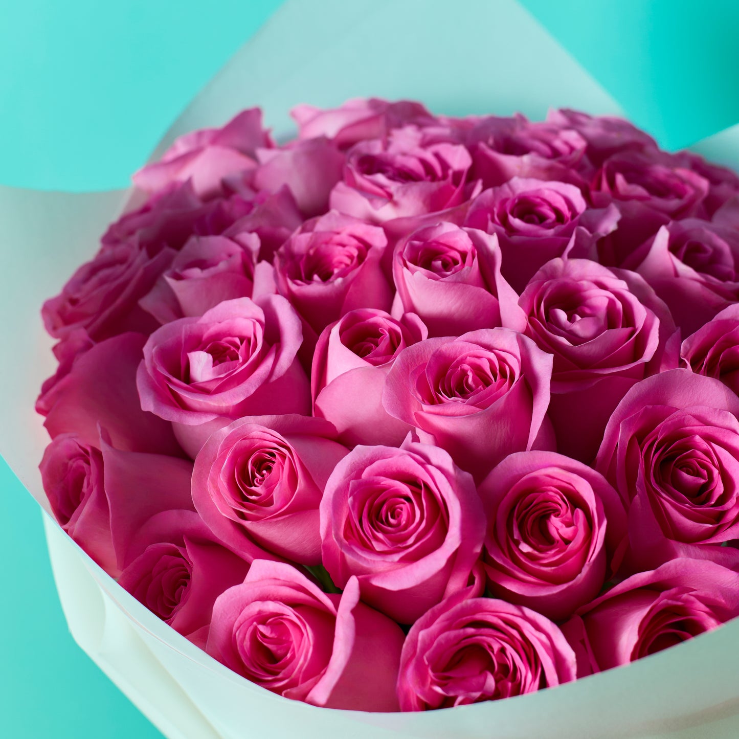 Blush Blooms