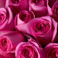 Blush Blooms