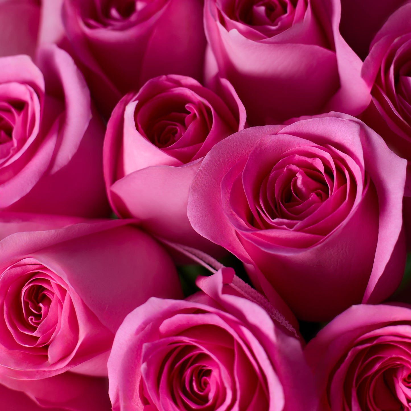 Blush Blooms