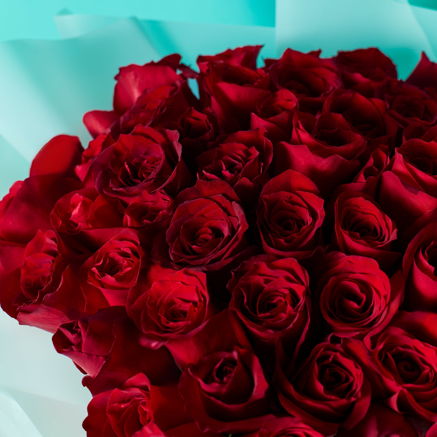 Crimson Blooms
