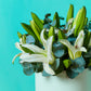 White Lilies