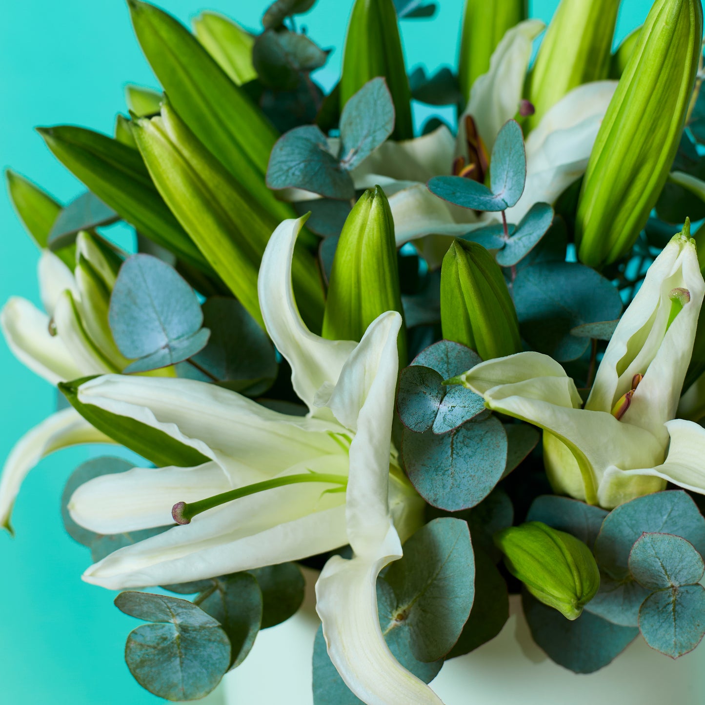 White Lilies