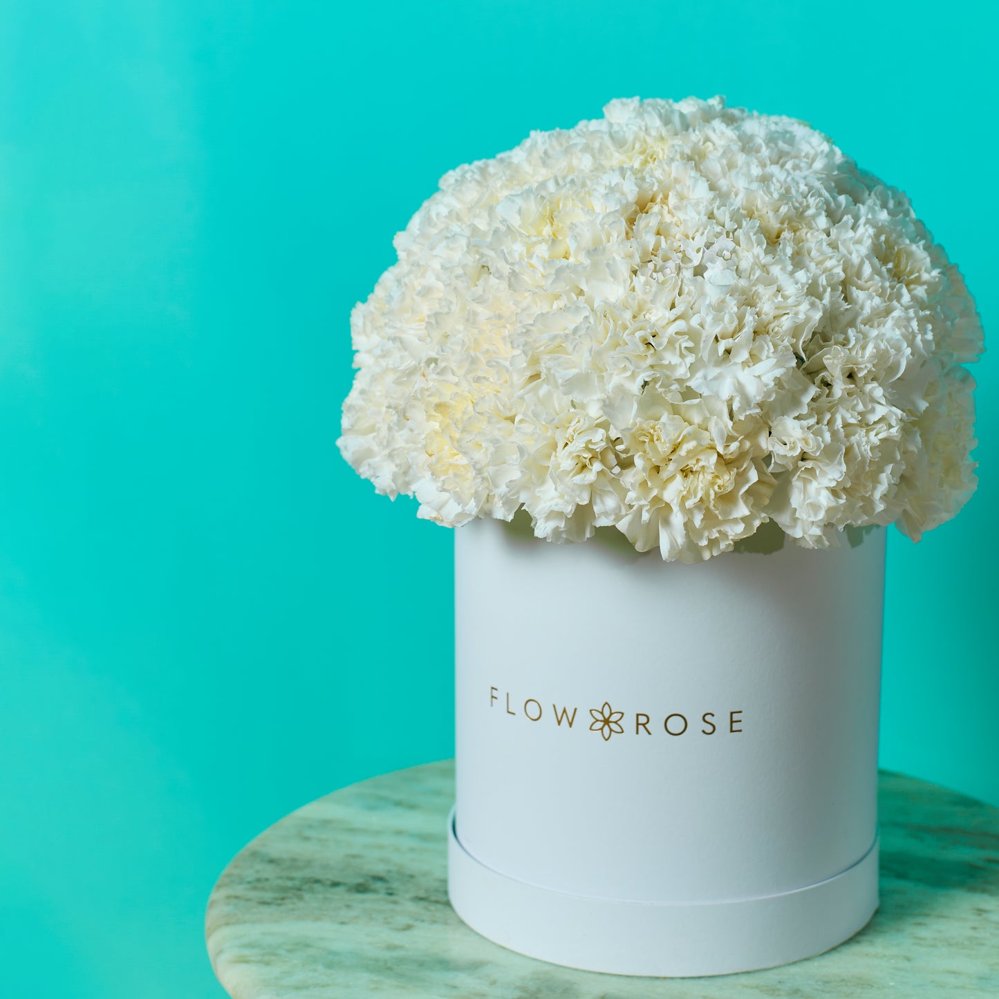 White Carnation