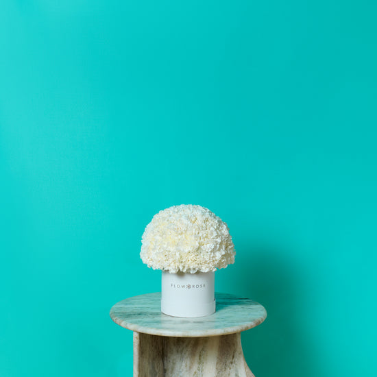 White Carnation Box
