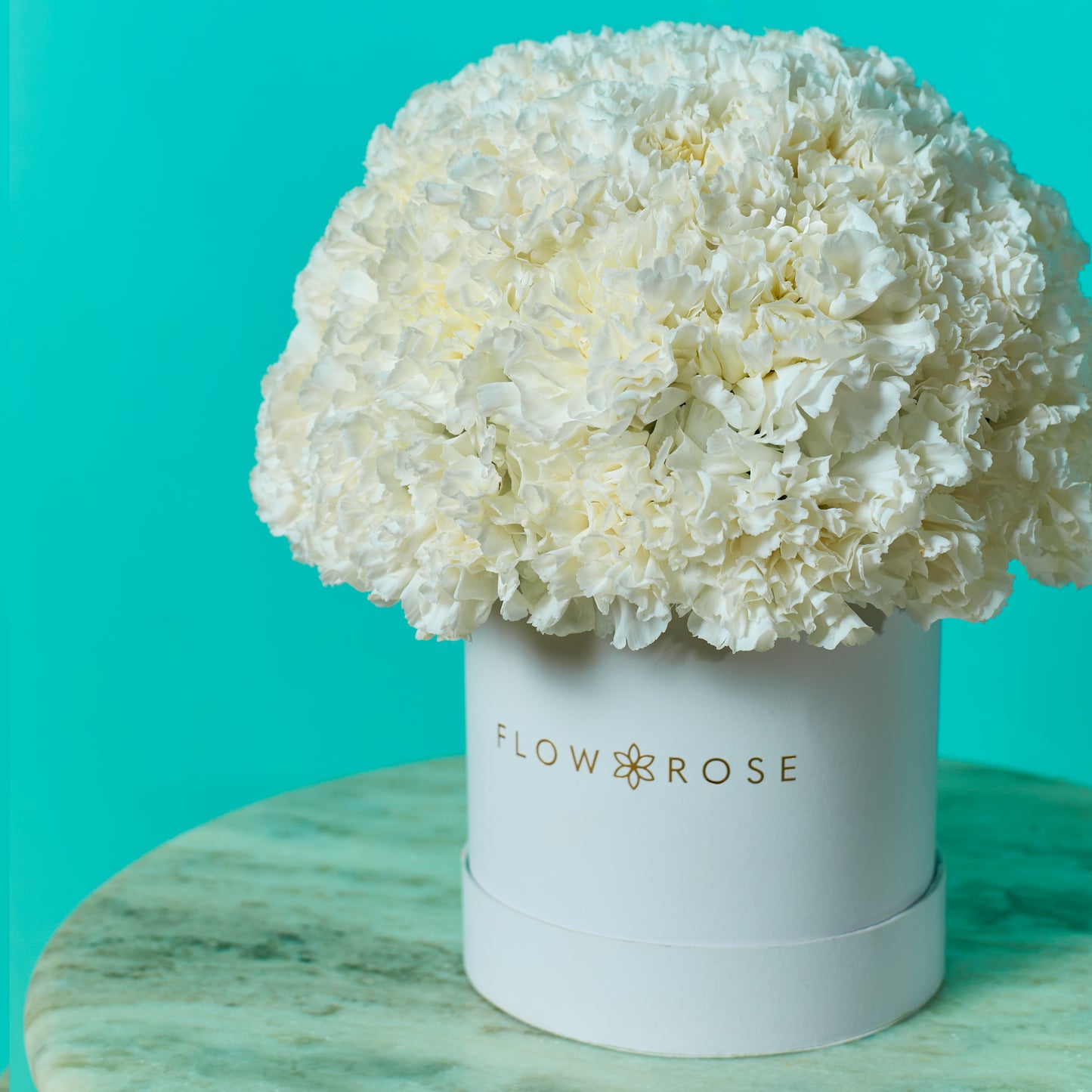 White Carnation