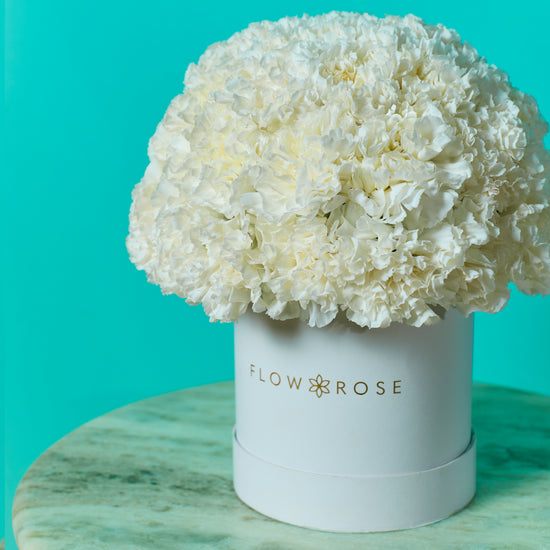 White Carnation Box