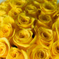 Sunny Blooms