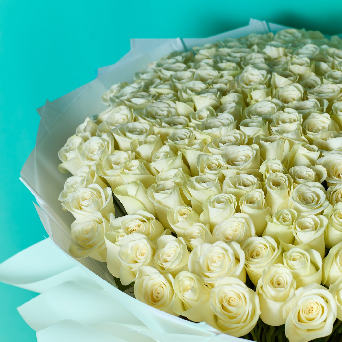 Pure Blooms