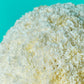 White Carnation