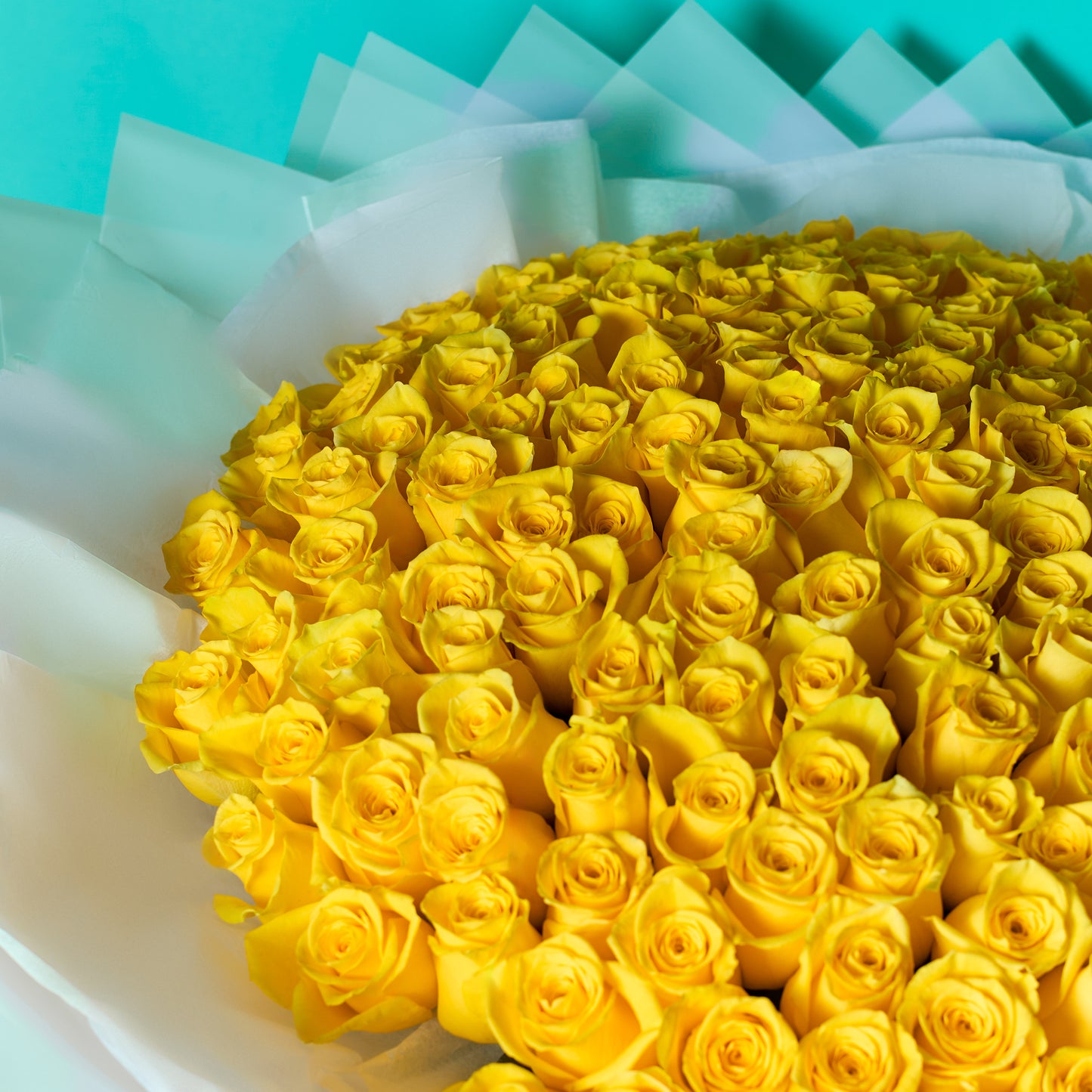 Sunny Blooms