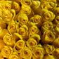 Sunny Blooms