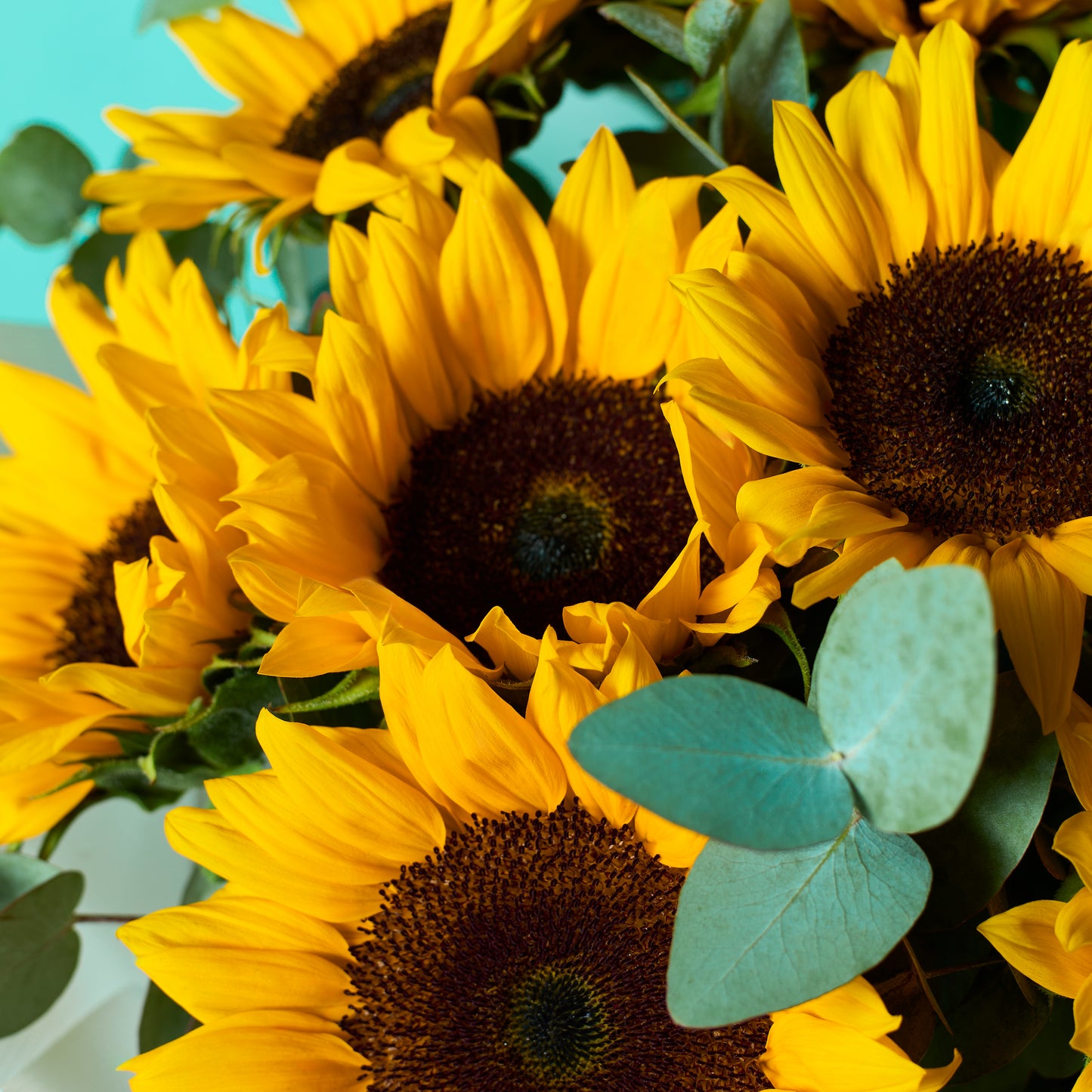 Golden Sunshine