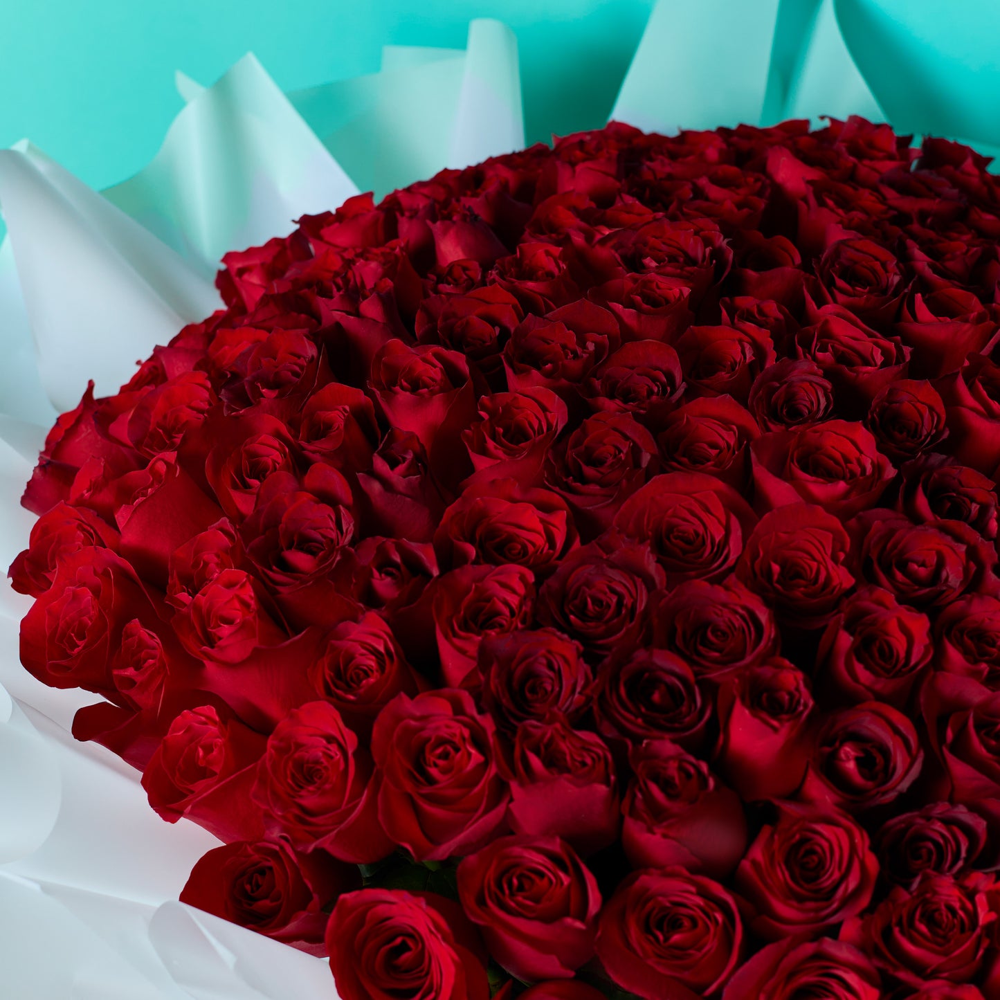 Crimson Blooms