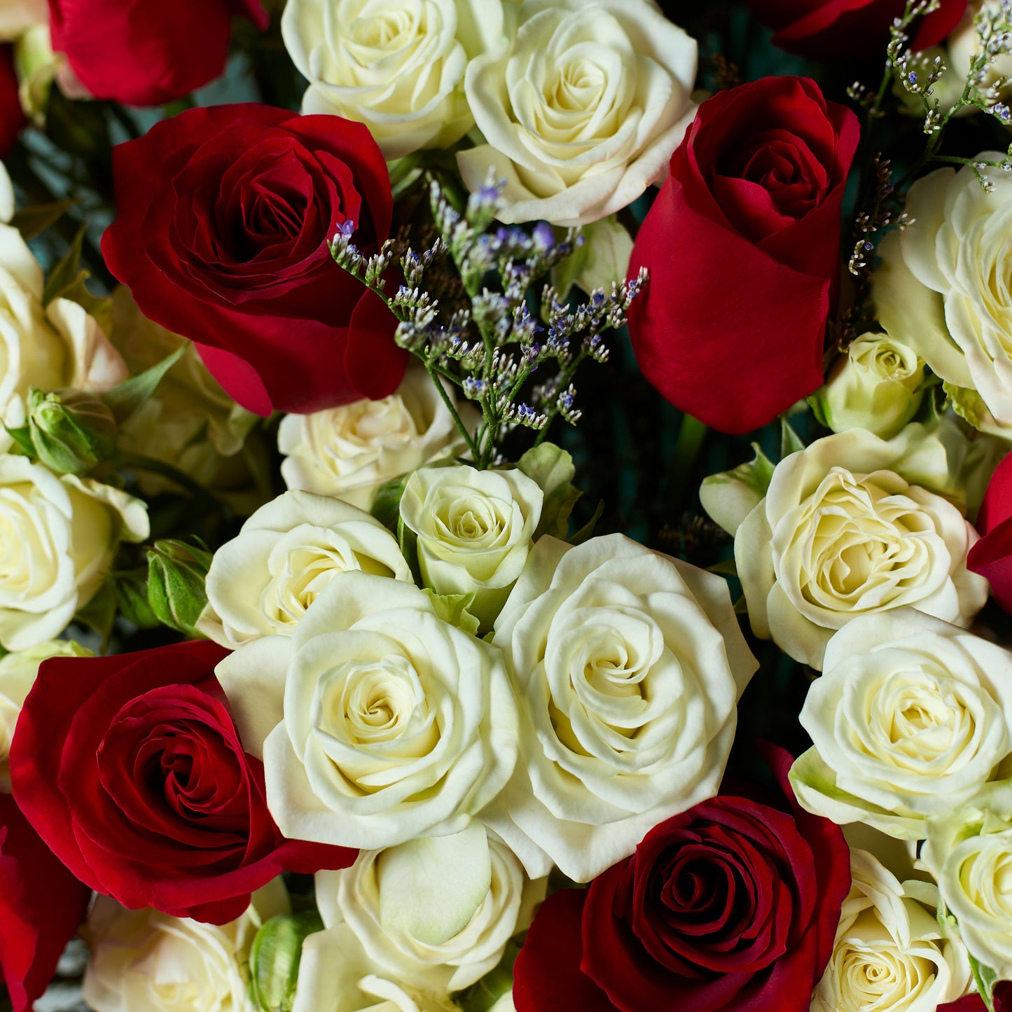 Royal Abundance
