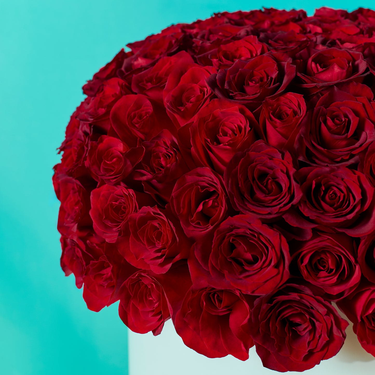 Red Rose