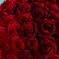 Red Rose