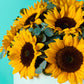 Sunny Sunflower