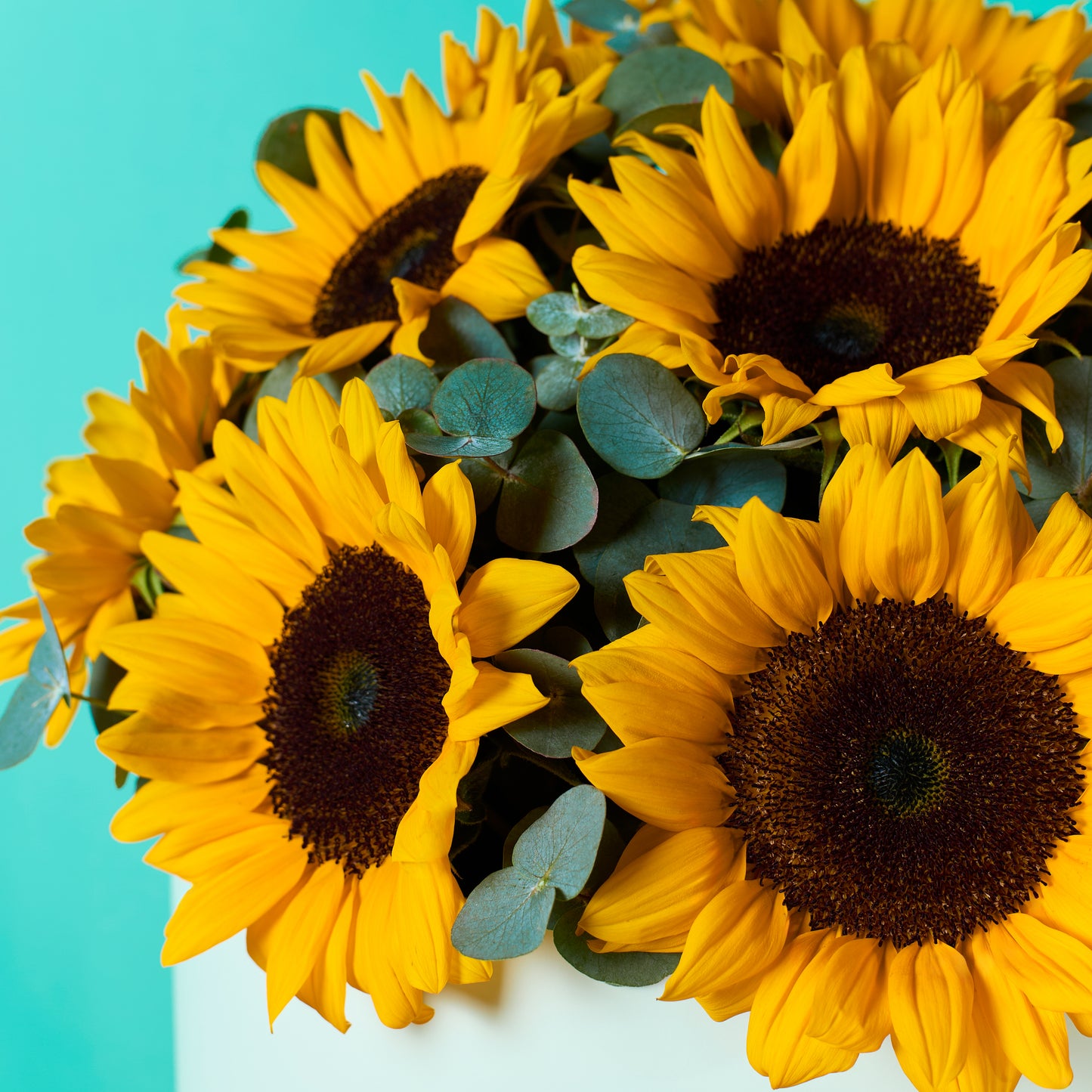 Sunny Sunflower