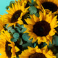 Sunny Sunflower