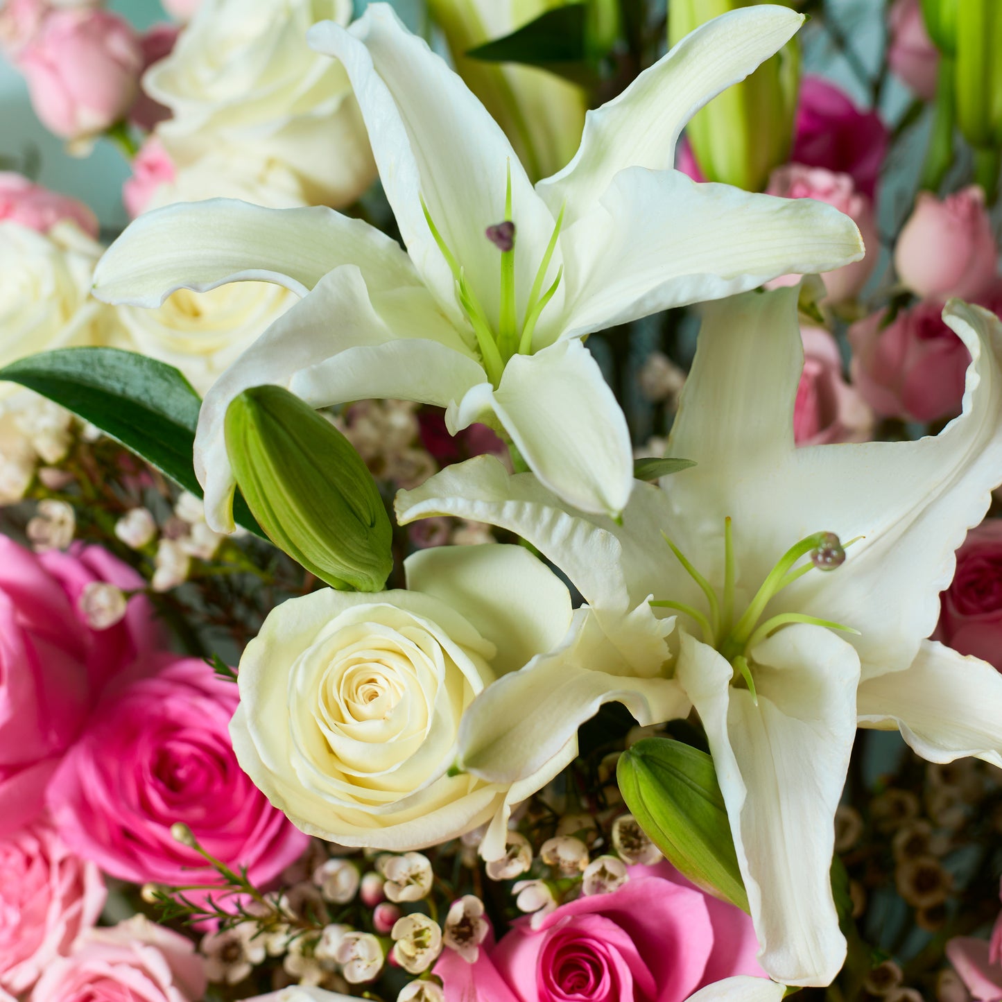 Floral Rhapsody