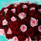 Abundance of Beauty