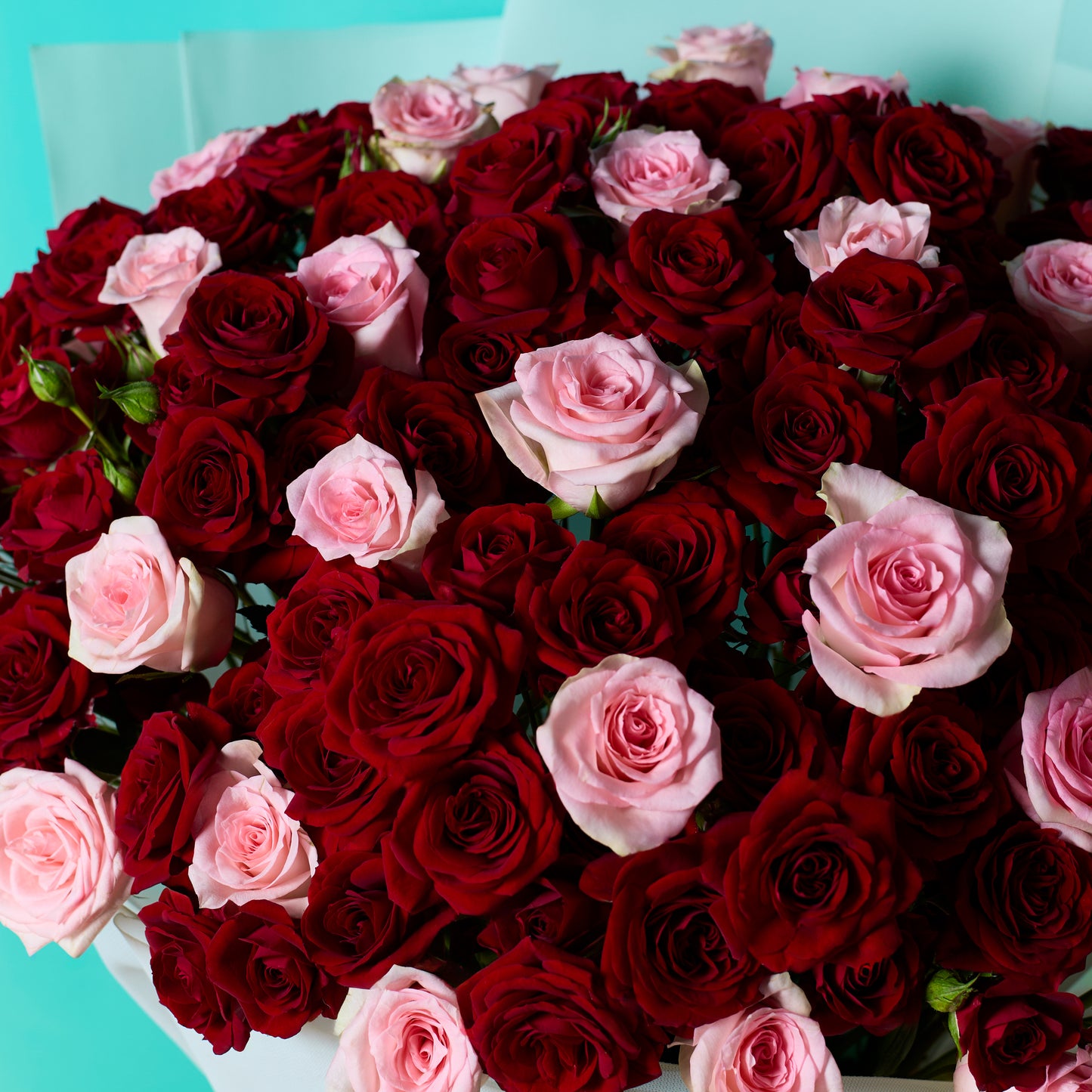Abundance of Beauty