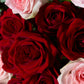 Abundance of Beauty