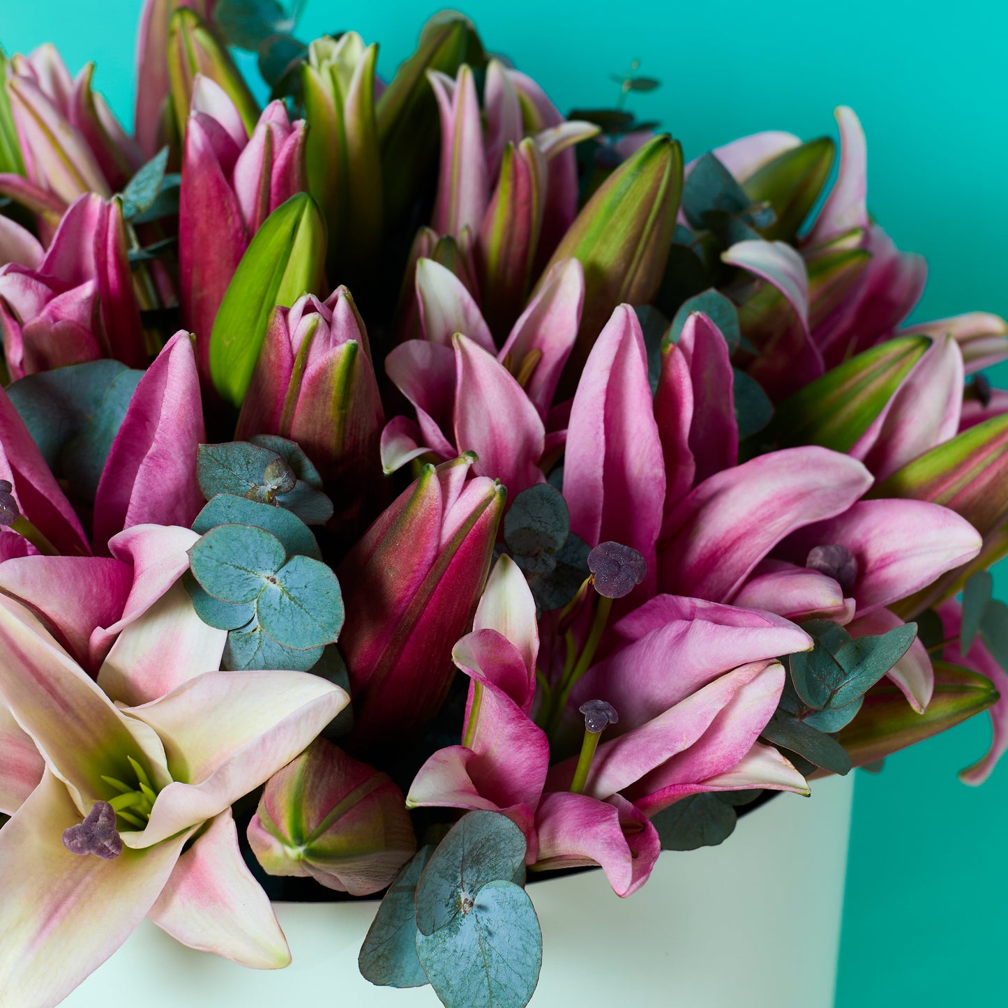 Pink Lilies