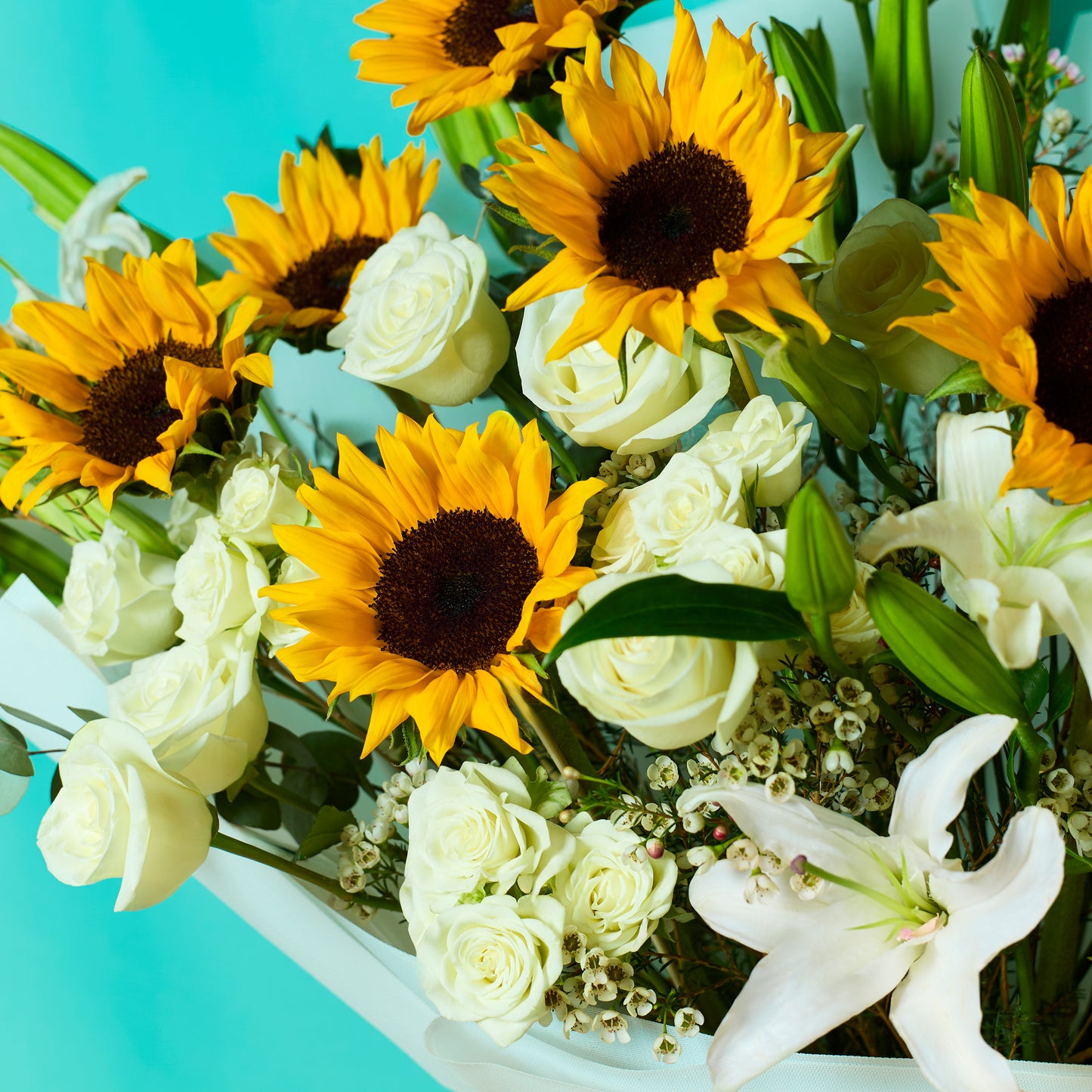 Statement in Bloom
