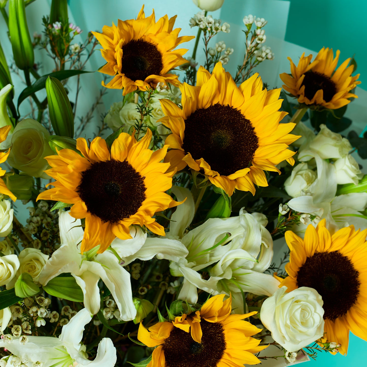 Statement in Bloom