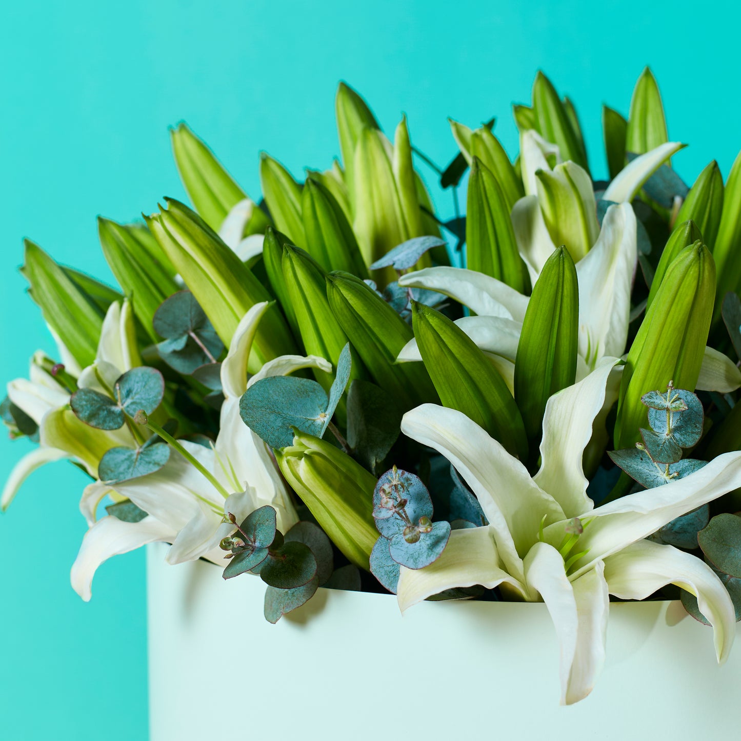 White Lilies