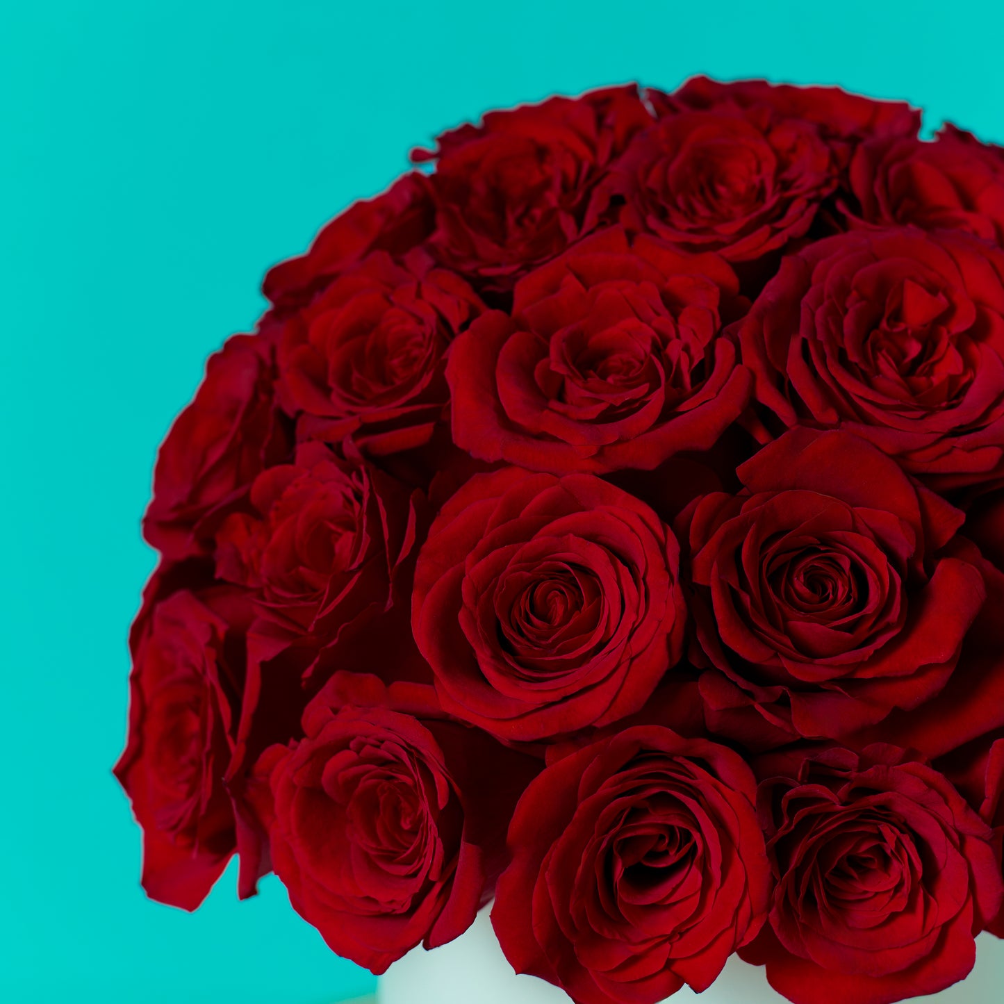 Red Rose