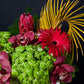 Bold Botanica