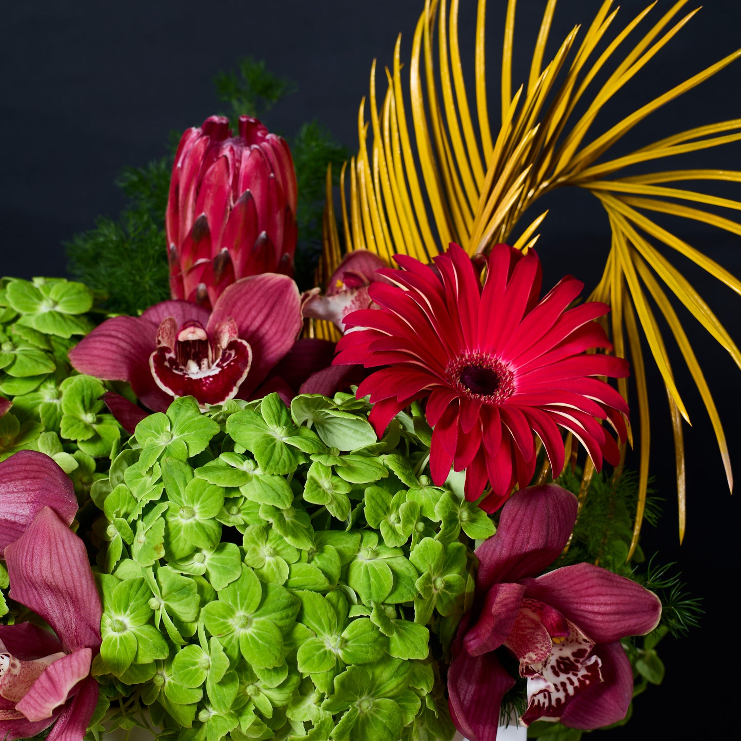 Bold Botanica