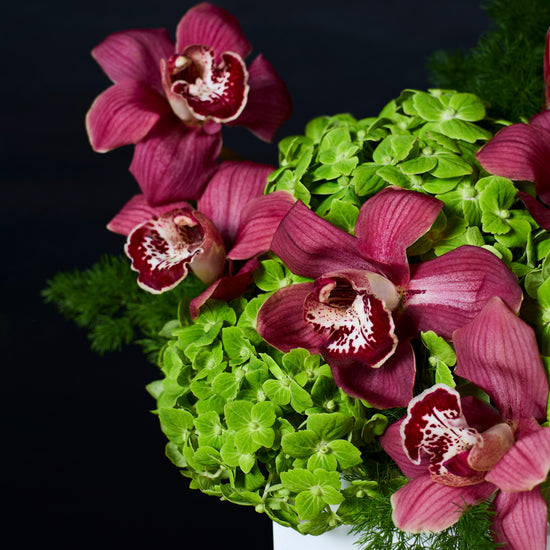 Bold Botanica