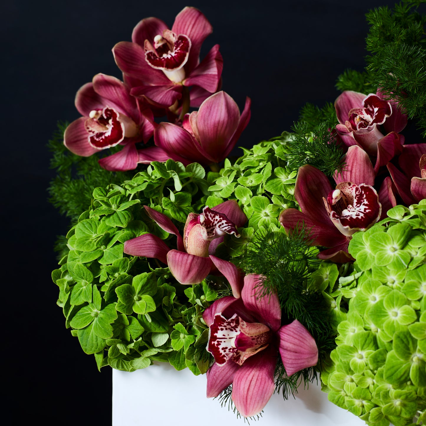 Bold Botanica