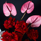 Sophisticated Orchid