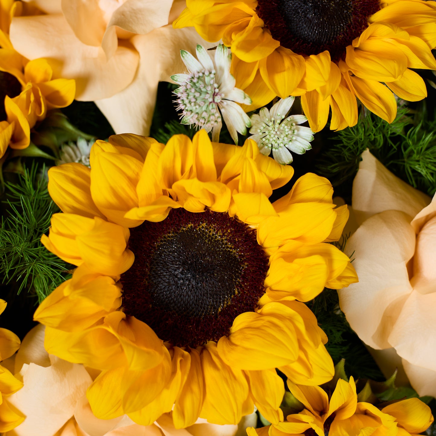 Couture Jaune