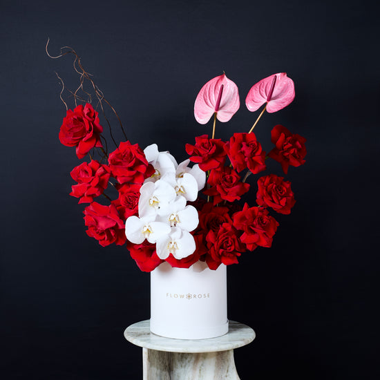 Sophisticated Orchid