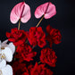 Sophisticated Orchid