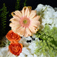 Douce Lumière