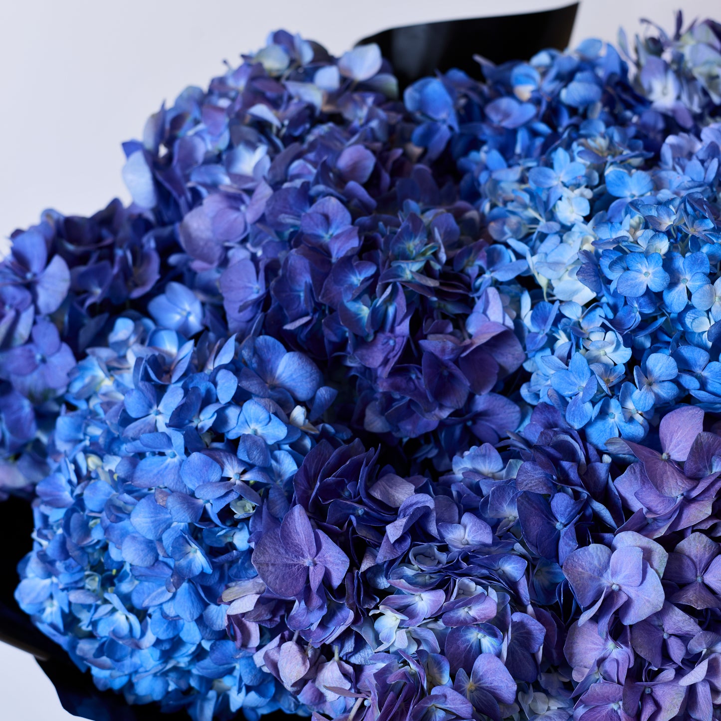 Bleu Impérial