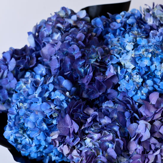 Bleu Impérial