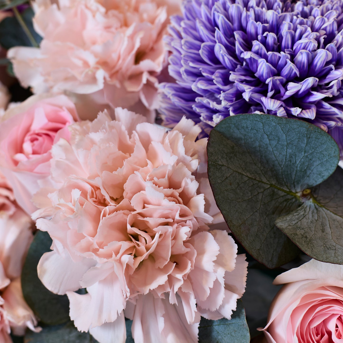 Floral Symphony