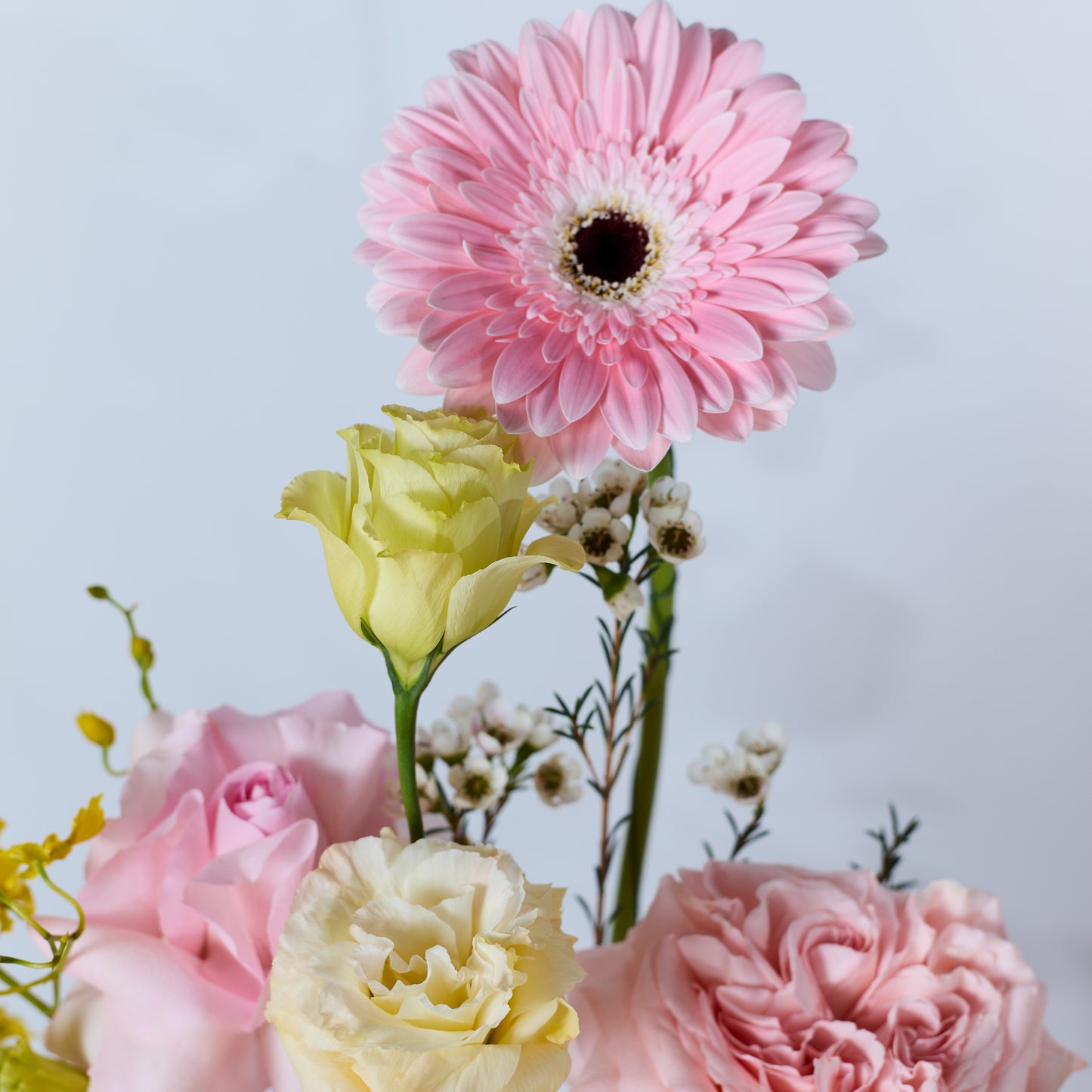 Sweet Reverie