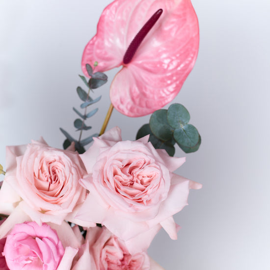Pink Whisper