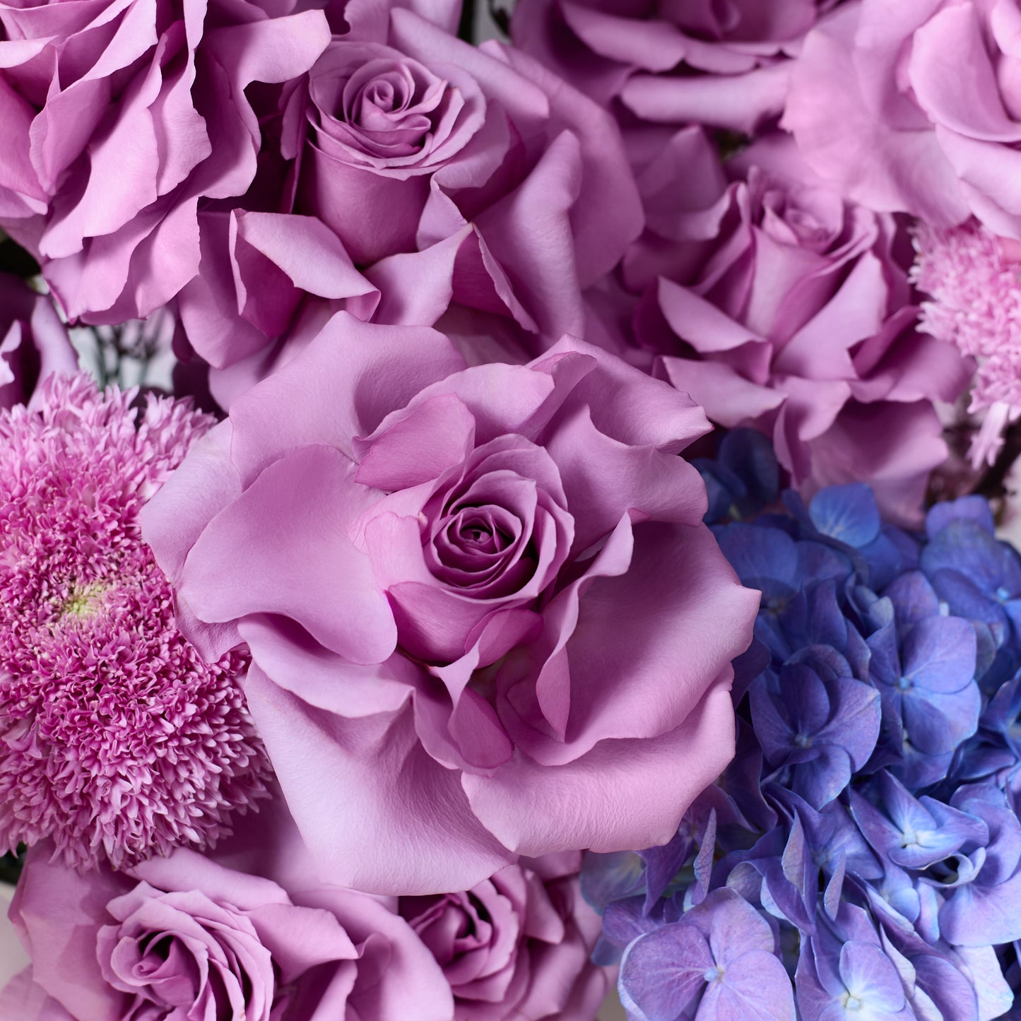 Amethyst Blush
