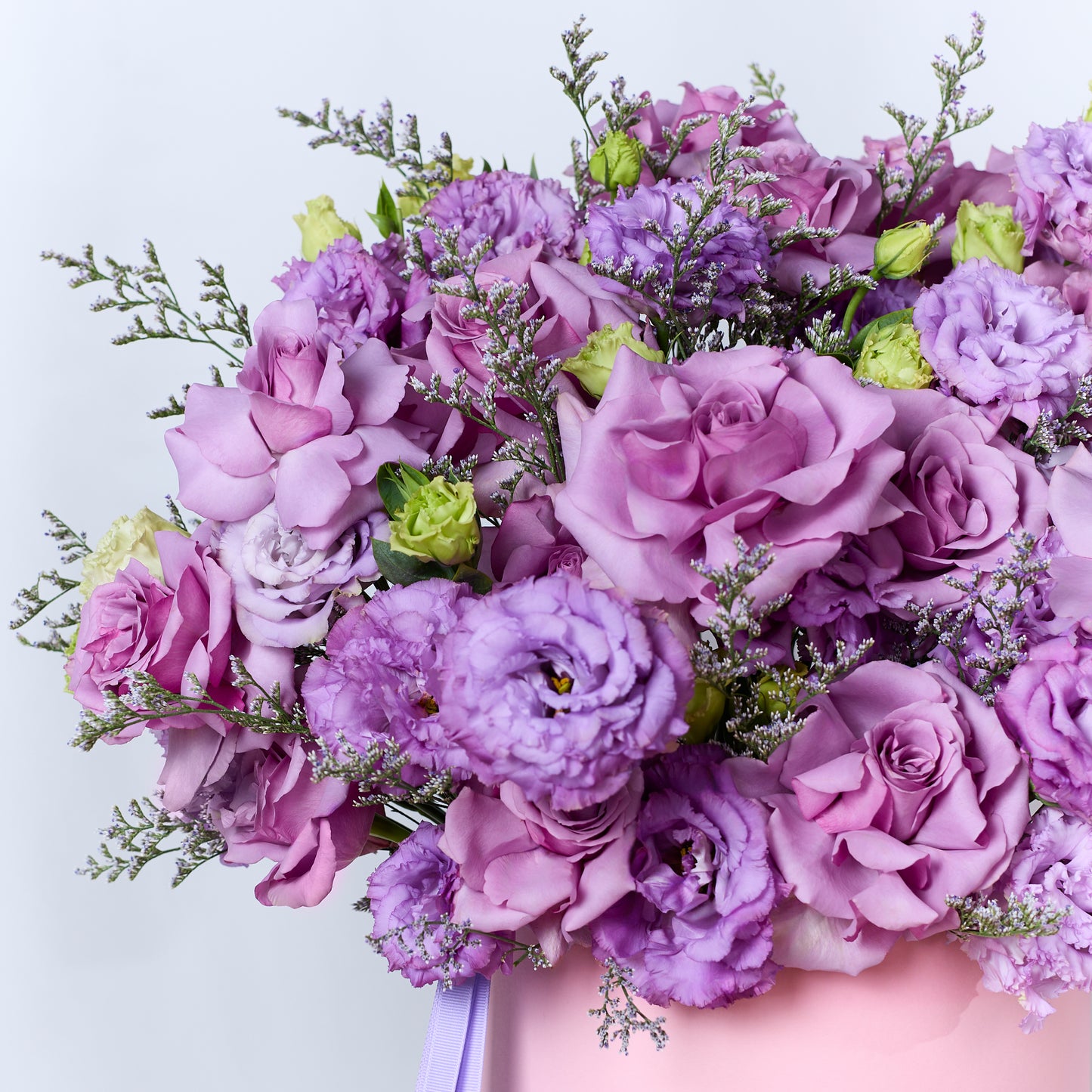 Purple Whisper
