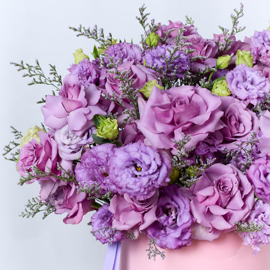 Purple Whisper